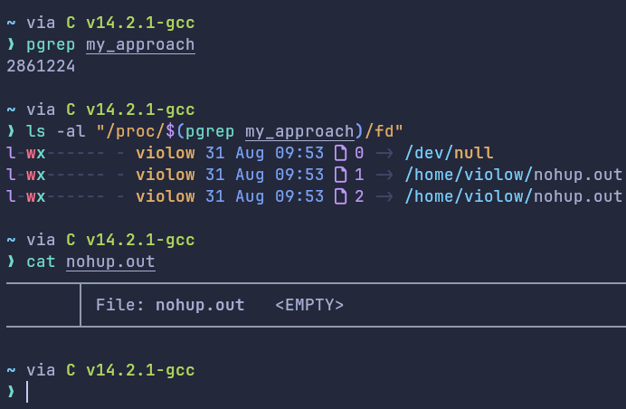 stdin file descriptor for the orphan process